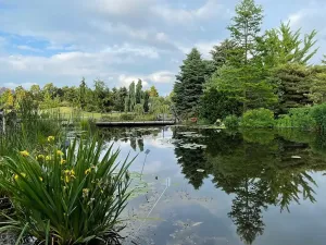 Prodej bytu 2+kk, Praha - Troja, Velká skála, 48 m2