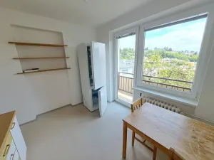 Prodej bytu 2+1, Brno, Plevova, 50 m2