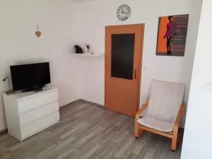 Pronájem bytu 1+kk, Liberec - Liberec VI-Rochlice, Hedvábná, 46 m2