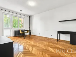 Pronájem bytu 2+kk, Třebíč, Demlova, 52 m2