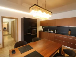 Prodej bytu 2+kk, Karlovy Vary, Sedlecká, 60 m2
