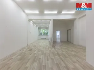 Pronájem komerční nemovitosti, Zdiby - Přemyšlení, U Továrny, 175 m2