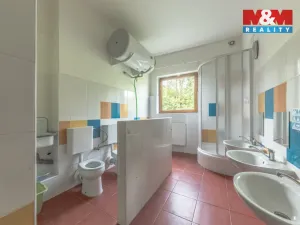 Pronájem komerční nemovitosti, Zdiby - Přemyšlení, U Továrny, 175 m2