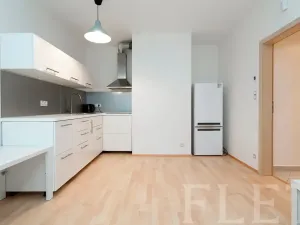 Pronájem bytu 1+kk, Praha - Žižkov, Olšanská, 43 m2