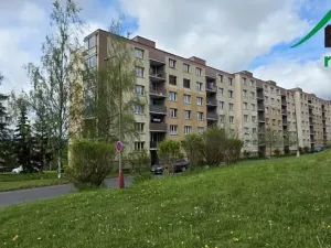 Pronájem bytu 3+1, Tachov, Bělojarská, 82 m2