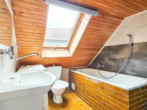 Prodej vícegeneračního domu, Stříbrná Skalice, Pražská, 146 m2
