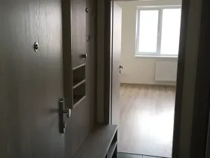 Pronájem bytu 1+kk, Brno, Vranovská, 26 m2