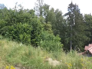 Dražba louky, Nové Hrady, 766 m2