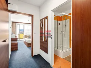Prodej apartmánu, Frymburk, 31 m2