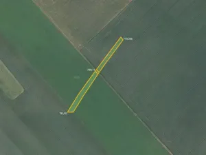 Prodej pole, Kuchařovice, 6602 m2