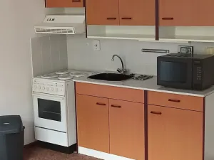 Pronájem bytu 1+kk, Děčín, Dvořákova, 44 m2