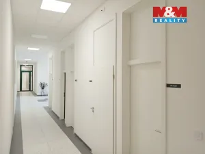 Prodej obchodního prostoru, Opava - Město, Masarykova třída, 160 m2