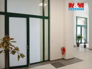 Prodej obchodního prostoru, Opava - Město, Masarykova třída, 80 m2