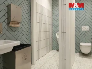 Prodej obchodního prostoru, Opava - Město, Masarykova třída, 60 m2