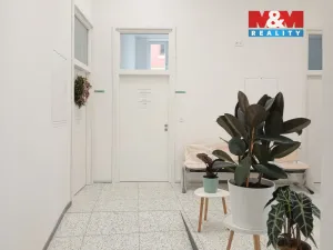 Prodej obchodního prostoru, Opava - Město, Masarykova třída, 40 m2