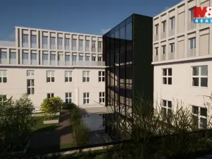 Prodej obchodního prostoru, Opava - Město, Masarykova třída, 200 m2