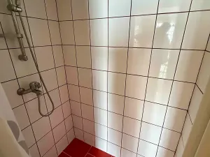 Prodej vícegeneračního domu, Olšany u Prostějova, 230 m2