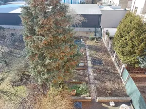 Pronájem bytu 2+kk, Brno, Slevačská, 51 m2