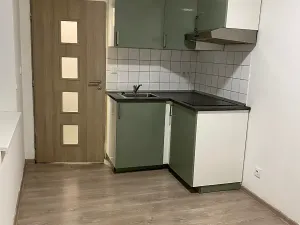 Pronájem bytu 1+kk, Brno, Křenová, 20 m2