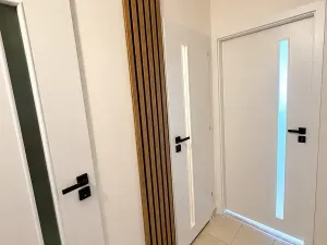 Pronájem bytu 1+kk, Ostrava, Hornopolní, 32 m2