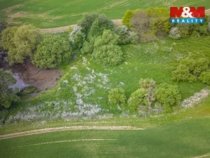 Prodej louky, Vlašim - Domašín, 1137 m2