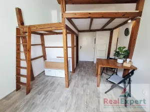Pronájem bytu 1+kk, Praha - Nusle, Mečislavova, 20 m2