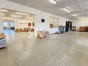 Prodej činžovního domu, Opava, Slezská, 1300 m2
