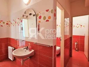 Prodej činžovního domu, Opava, Slezská, 1300 m2
