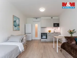 Prodej bytu 1+kk, Praha - Žižkov, Tetauerova, 33 m2