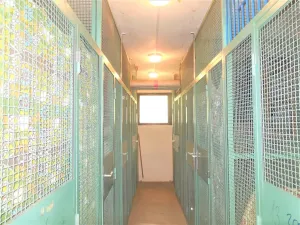 Pronájem bytu 1+kk, Zlín, Družstevní, 32 m2