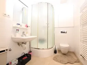 Pronájem bytu 1+kk, Dobříš, U Pivovaru, 30 m2