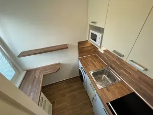 Pronájem bytu 1+kk, Brno, Vídeňská, 27 m2