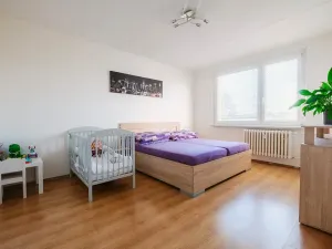 Pronájem bytu 2+1, Třebíč, Fr. Hrubína, 54 m2