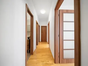 Pronájem bytu 3+kk, Brno, Hrnčířská, 68 m2