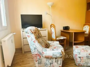 Pronájem bytu 1+kk, Písek, 17. listopadu, 19 m2