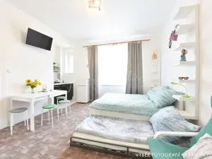 Pronájem bytu 1+kk, Praha - Libeň, U libeňského pivovaru, 30 m2