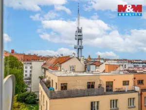 Prodej bytu 2+1, Praha - Žižkov, Baranova, 90 m2
