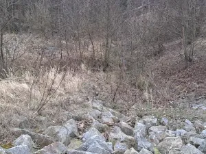 Pronájem rybníku, Hostim, 3504 m2