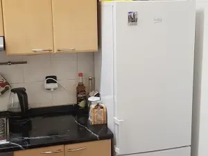 Pronájem bytu 1+1, Brno, Ptašínského, 40 m2