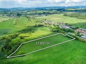 Prodej pole, Vidochov, 38750 m2