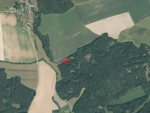 Prodej podílu pole, Biřkov, 9293 m2