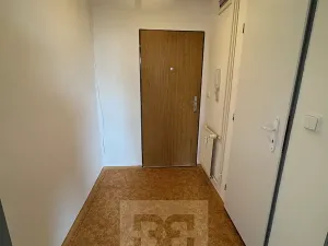 Pronájem bytu 1+kk, Písek, Za Pazdernou, 18 m2