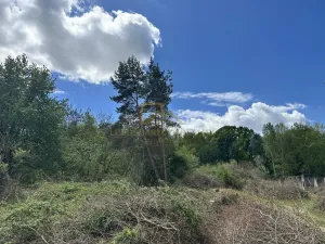 Prodej komerčního pozemku, Boršov nad Vltavou, Šumavská, 3633 m2