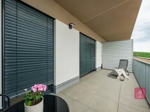 Pronájem bytu 2+kk, Mokrá-Horákov, 63 m2