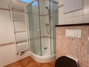 Pronájem bytu 1+kk, České Budějovice, Tylova, 39 m2