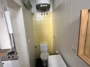 Pronájem bytu 1+kk, Praha - Vinohrady, Budečská, 20 m2