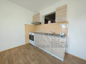 Pronájem bytu 1+1, České Budějovice, 44 m2