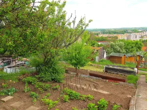 Prodej zahrady, Kadaň, Zahradní, 385 m2