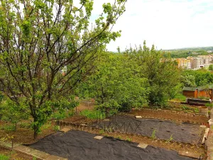 Prodej chaty, Kadaň, Zahradní, 28 m2