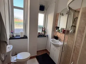 Prodej bytu 2+kk, Liberec, Americká, 56 m2
